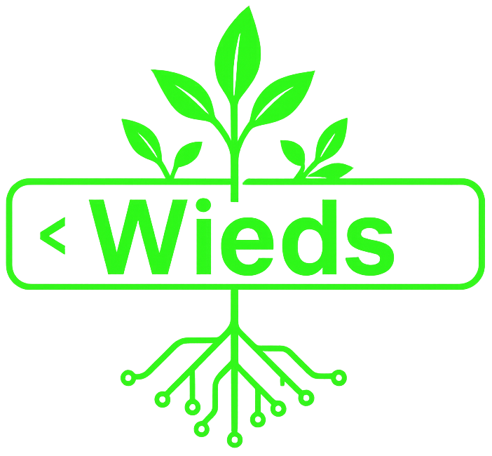 Wieds Web Solutions Rhode Island web design company logo